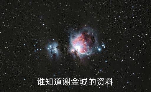 誰知道謝金城的資料
