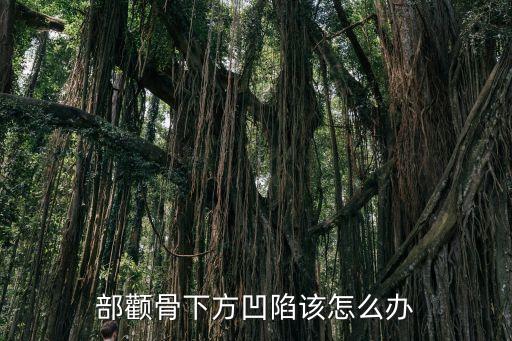 顴骨凹陷，顴骨下方沒有肉呈凹陷狀態看起來顯老請問怎樣讓他飽滿起來