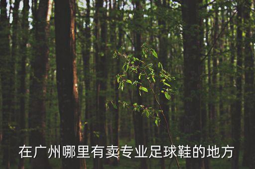 廣州哪里多足球鞋出售，廣州哪里有專門賣足球鞋的啊