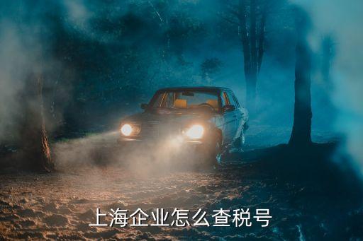 上海市質量協會稅號，310110703284863是上海稅號嗎