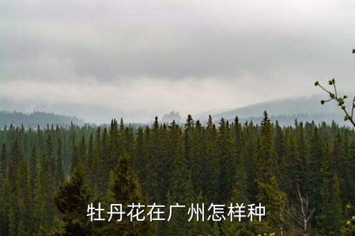 牡丹花在廣州怎樣種