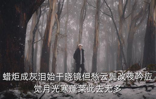 蠟炬成灰淚始干曉鏡但愁云鬢改夜吟應覺月光寒蓬萊此去無多