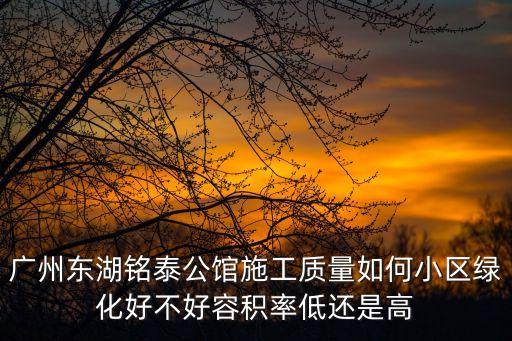廣州東湖銘泰公館施工質(zhì)量如何小區(qū)綠化好不好容積率低還是高