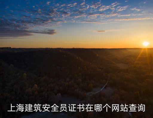 上海建筑安全員證書在哪個網站查詢