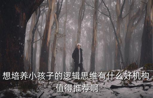 廣州思維能力怎么培養機構，思維能力提升報哪家的課程好點