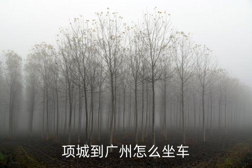 項城到廣州貨運班車，項城到廣州的客車票價是多少