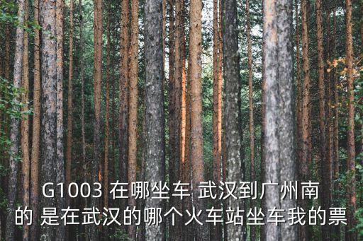 g1003英德西廣州南，G1003 在哪坐車 武漢到廣州南的 是在武漢的哪個火車站坐車我的票