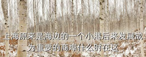 上海原來是海邊的一個小港后來發展成為重要的商埠什么時在這