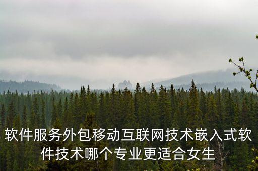 軟件服務，軟件服務公司都涉及什么稅
