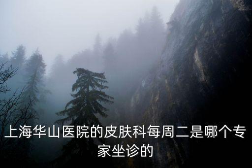 上海市華山醫(yī)院張怡，上海華山醫(yī)院神經(jīng)內(nèi)科那位專家專長治失眠