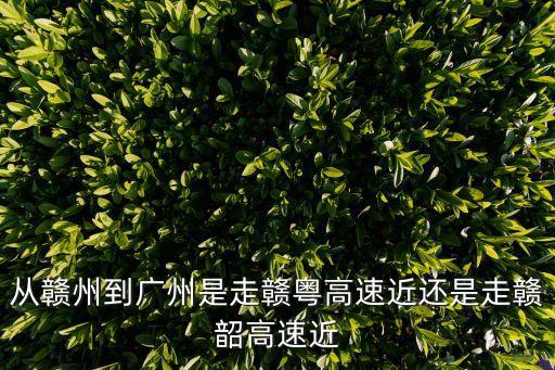從贛州到廣州是走贛粵高速近還是走贛韶高速近