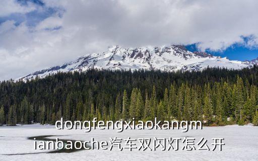 dongfengxiaokangmianbaoche汽車雙閃燈怎么開