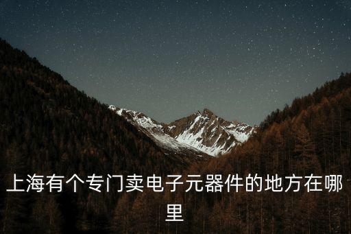 上海有個專門賣電子元器件的地方在哪里
