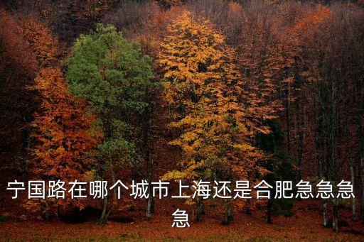 上海市寧國路在哪個區，楊浦區寧國路25號