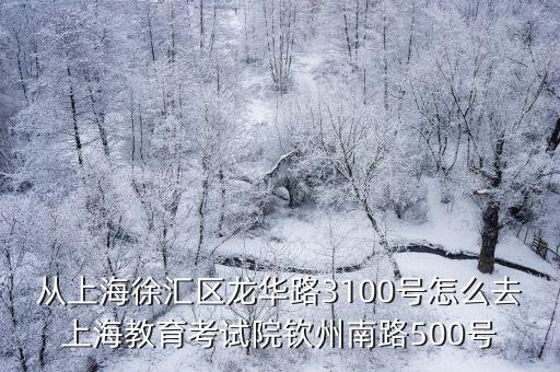 上海市教育考試院中心，上海教育考試院地址是什么