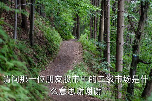 股票二級市場，什么是股市二級市場