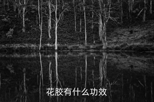 花膠有什么功效，花膠有什么功效