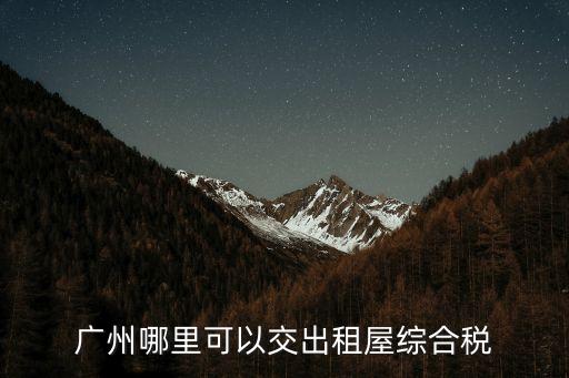 廣州哪里可以交出租屋綜合稅