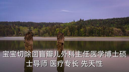 廣州省立醫院陳佳，寶寶切除回盲瓣兒外科主任醫學博士碩士導師 醫療專長 先天性