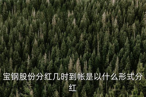 寶鋼股份分紅幾時到帳是以什么形式分紅