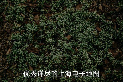 上海市地圖三維地圖，上海三維地圖