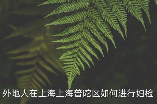 上海市普陀區(qū)人民吳大成，在上海普陀區(qū)祁連山路210號的上海皖東人力資源管理咨詢有限公司是