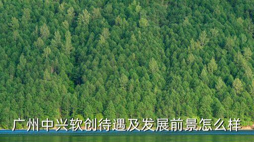 廣州中興軟創待遇及發展前景怎么樣