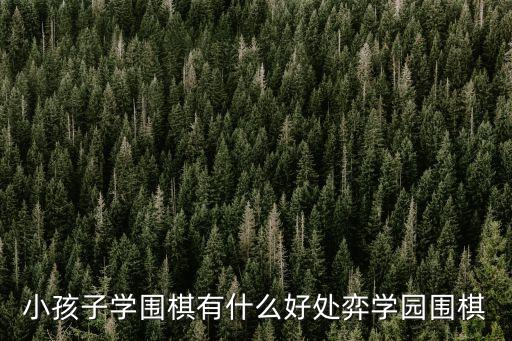 圍棋的好處和作用，玩圍棋的好處