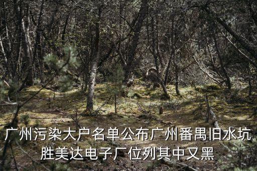 廣州污染大戶名單公布廣州番禺舊水坑勝美達電子廠位列其中又黑