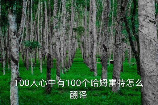 一百個(gè)人眼中有一百個(gè)哈姆雷特，100人心中有100個(gè)哈姆雷特怎么翻譯