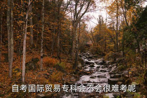 廣州市自考國際貿易專科，國際貿易的廣州自主招生學校