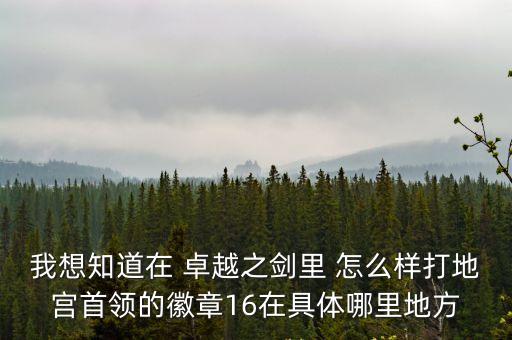 我想知道在 卓越之劍里 怎么樣打地宮首領的徽章16在具體哪里地方
