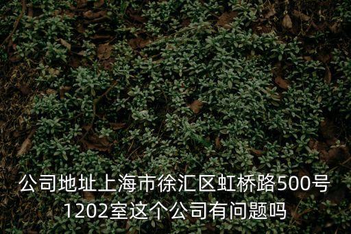 公司地址上海市徐匯區虹橋路500號1202室這個公司有問題嗎