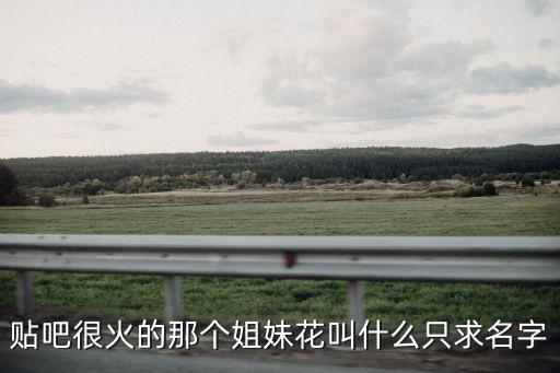貼吧很火的那個姐妹花叫什么只求名字
