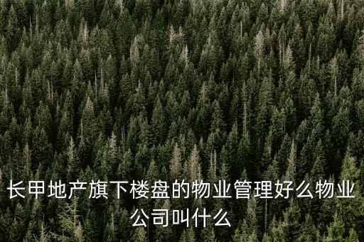 長甲地產(chǎn)旗下樓盤的物業(yè)管理好么物業(yè)公司叫什么