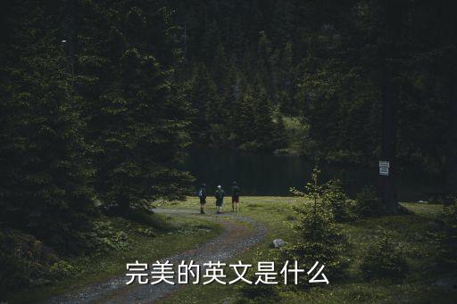 完美的英文是什么