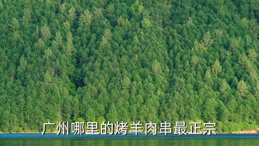 廣州哪里的烤羊肉串最正宗