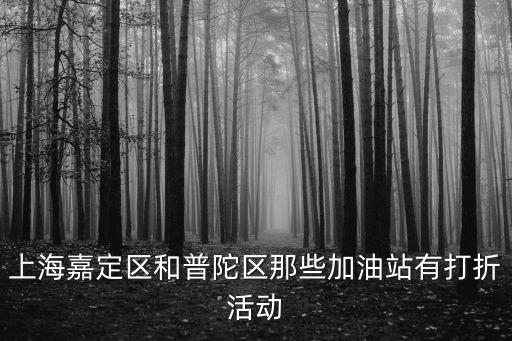 上海市 打折 加油站，上海嘉定區和普陀區那些加油站有打折活動
