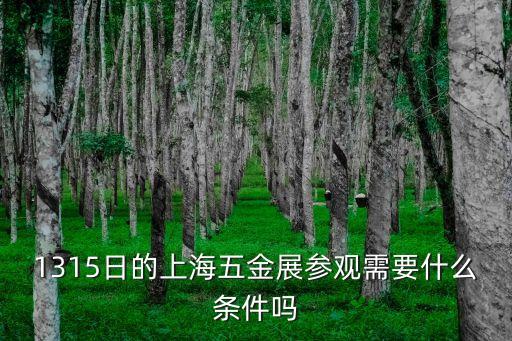 上海市五金博覽會，1315日的上海五金展參觀需要什么條件嗎