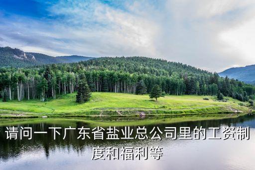 請問一下廣東省鹽業總公司里的工資制度和福利等
