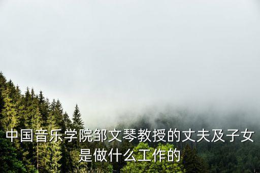 鄒文琴，中國音樂學院鄒文琴教授的丈夫及子女是做什么工作的