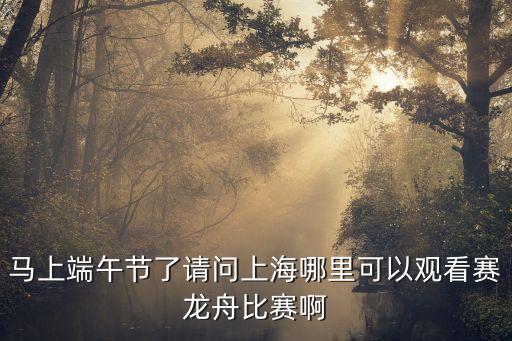 馬上端午節(jié)了請問上海哪里可以觀看賽龍舟比賽啊