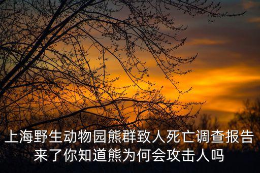 上海市事故報告，上海長寧區交通事故查詢