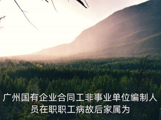 廣州國有企業(yè)合同工非事業(yè)單位編制人員在職職工病故后家屬為