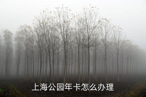 上海市民怎么辦旅游年卡，上海工業旅游年票咋樣買
