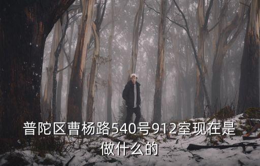 普陀區曹楊路540號912室現在是做什么的
