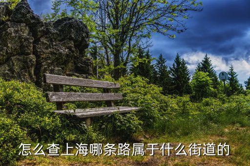 怎么查上海哪條路屬于什么街道的