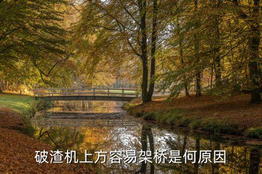 廣州多功能架橋破壞器接線，破渣機上方容易架橋是何原因