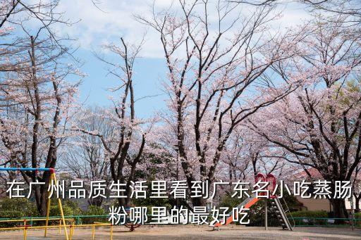 在廣州品質生活里看到廣東名小吃蒸腸粉哪里的最好吃