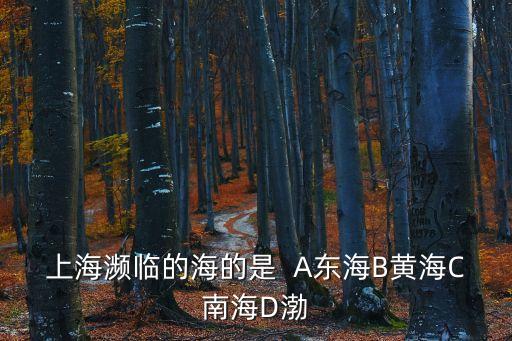 上海瀕臨的海的是  A東海B黃海C南海D渤
